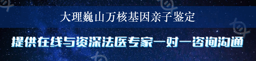 大理巍山万核基因亲子鉴定